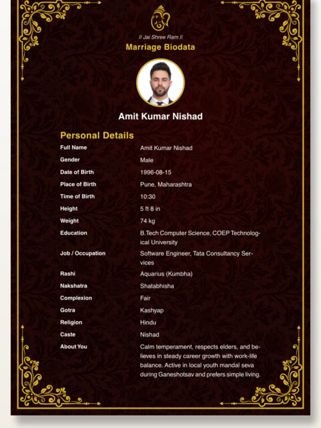 30+ Beautiful Biodata Designs